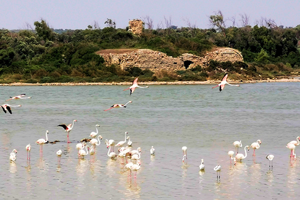 vacanze a taranto